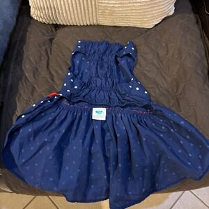 Blue Polka Dot Dog Costume